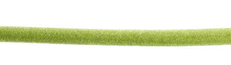 Close-up fragment of a green flower's stem isolated over the white background