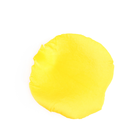 Yellow rose petal isolated over the white backgroundの写真素材