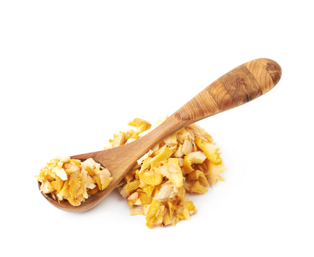 Yellow chanterelle mushroom isolatedの写真素材