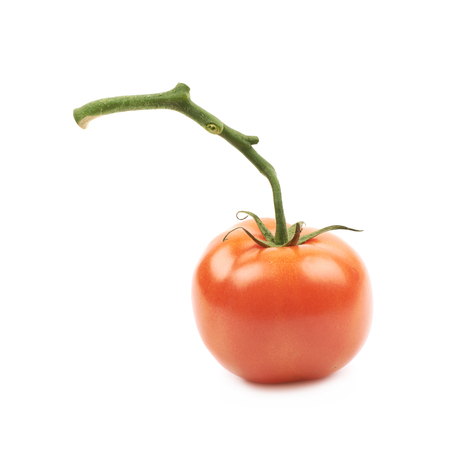 Ripe red tomato isolatedの写真素材