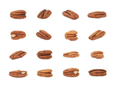 Single pecan nut isolated over the white background, set of multiple different foreshorteningsの写真素材
