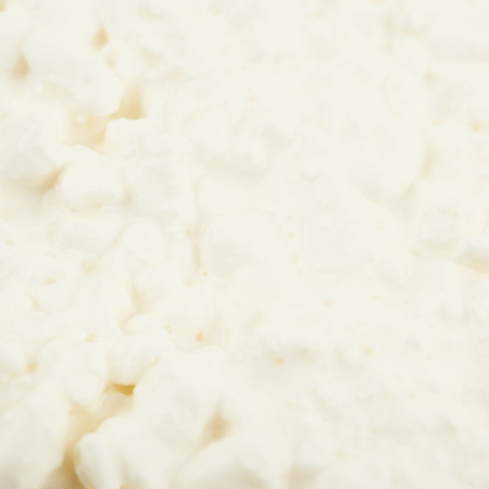 Surface coated with the cottage cheese as a close-up crop fragment textureの写真素材