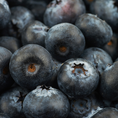 Surface coated with the blueberries as a close-up backdrop texture compositionの写真素材