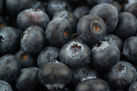 Surface coated with the blueberriesの写真素材