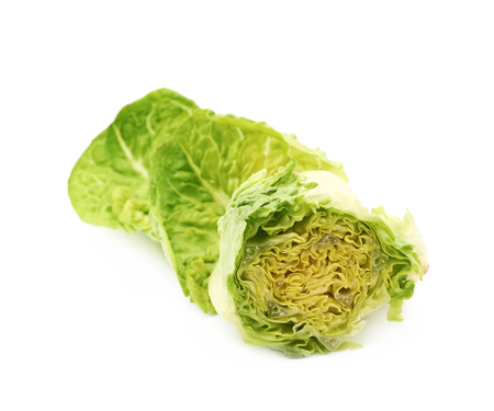 Little gem salat isolated over the white backgroundの写真素材