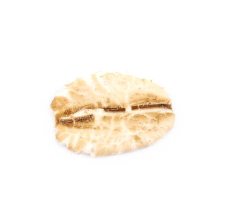 Single oat flake isolated over the white backgroundの写真素材