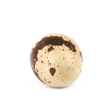 Quail egg composition isolated over the white backgroundの写真素材