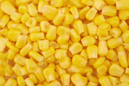 Surface coated with the canned corn as a close-up texture backdrop compositionの写真素材