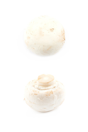 Raw champignon compositionの写真素材