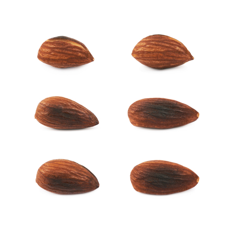 Single fried almond nut isolatedの写真素材
