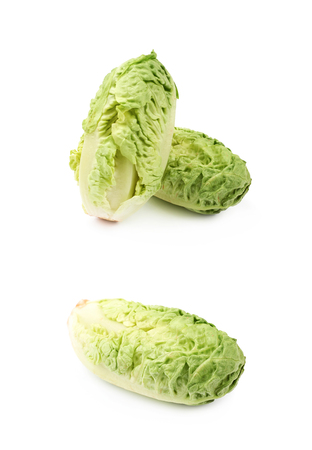 Little gem salat isolatedの写真素材