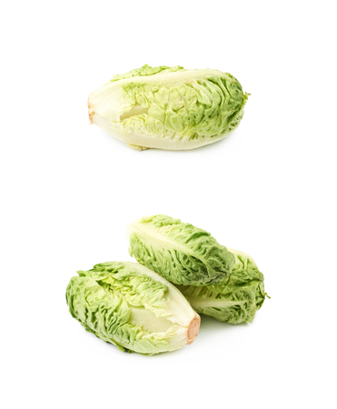 Little gem salat isolatedの写真素材