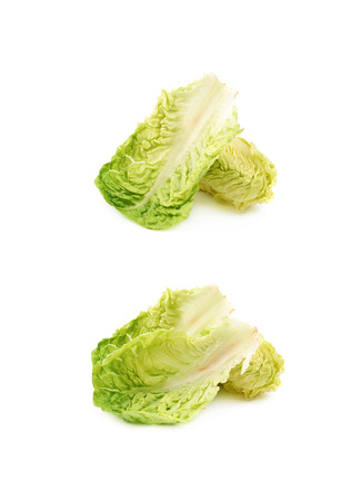 Little gem salat isolatedの写真素材