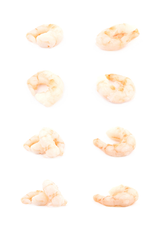Canned shrimp isolatedの写真素材
