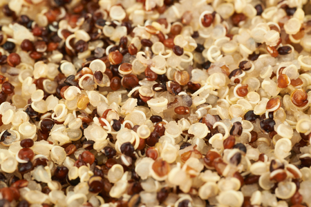 Surface coated with the quinoa seedsの写真素材