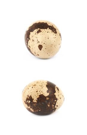 Quail egg composition isolatedの写真素材