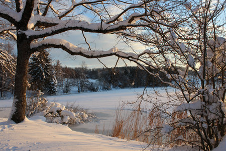 frozen lakeの写真素材