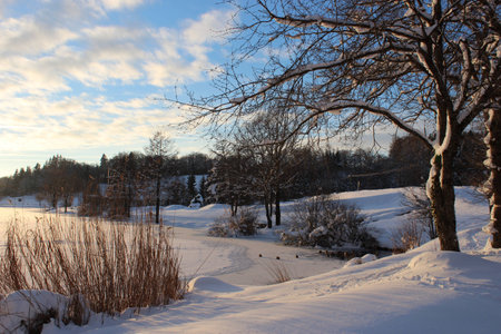 winter landscapeの写真素材