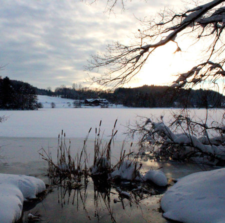 snowy pondの写真素材