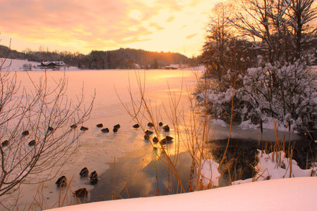 lakeの写真素材