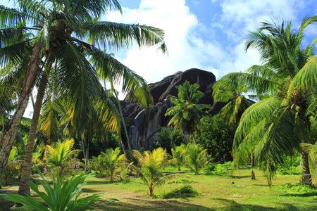 Mountains in tropical landscapeの写真素材