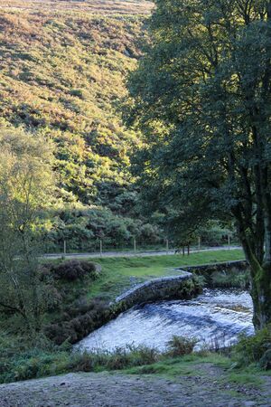 River flowing in between autumn trees at Langsett Reservoir, South Yorkshireの写真素材