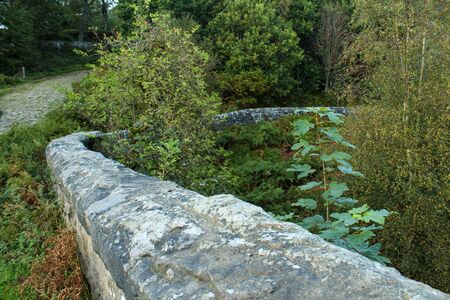 Stone wall running through the forest at Langsett Reservoir, South Yorkshireの写真素材