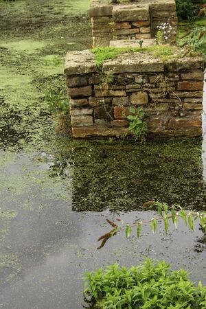 Kelham Island Nature and Waterの写真素材