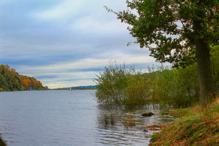 Sun flowing in between trees at Damflask Reservoirの写真素材