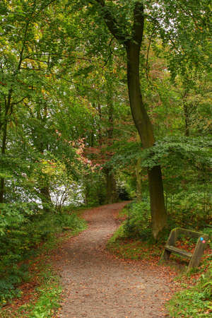 Sun flowing in between trees at Damflask Reservoirの写真素材
