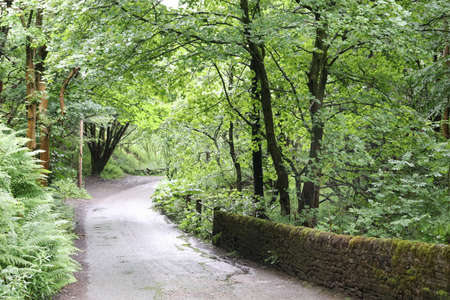 Sweeping lane through Edale in Derbyshire UKの写真素材