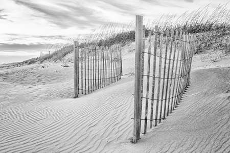 There is something attractive to me about sand fences on the beach. Perhaps it's their repetitive nature or nearly universal presence on beaches everywhere. I simply find them interesting, photographic. 

In this scene two fences are shown together. In the distance another one can be seen atop a sand dune. The sand building up around, between and in front of these slatted wooden barriers display interesting patterns created by the wind. Vegetation grows along the dune ridge, providing stabilization to these natural mounds of sand. Overhead the clouds are lent a dramtic look by the setting sun.

I chose to present this landscape in balck and white to focus enphasis on the patterns and tones of the scene. The choice adds a touch of nostalgia to the image. At least it does in my mind.

This image was captured near the Oceanana Fishing Pier and Restaurant at Atlantic Beach, North Carolina. It is an ever changing, dynamic environment along the sea shore. The wind and waves scupting and resculpting the dunes again and again. This is simply a snapshot of a moment in the continuous cycle along the Crystal Coast.の写真素材