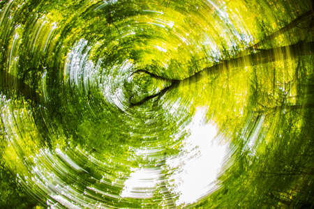 This abastract image was made in the Croatan National Forest along the Island Creek Forest Walk. The effect us the combination of a fisheye lens and intentional camera moveiment. The result is reminiscent of a photo of star trails around the polar star.

The Island Creek Forest Walk is located in eastern North Caolina  and is part of the Croatan National Forest. The trail loosely follows a small stream s it meanders through the woodland.の写真素材