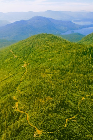 Logging roadの写真素材