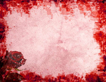 Rose Backgroundの写真素材
