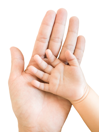 little baby hand with father's handの写真素材