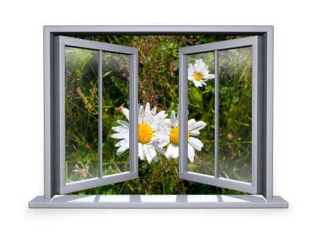 open white window a view to the flowerの写真素材