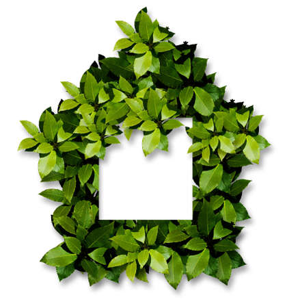 green home and window の写真素材