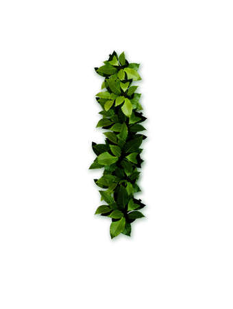 letter leaves Iの写真素材