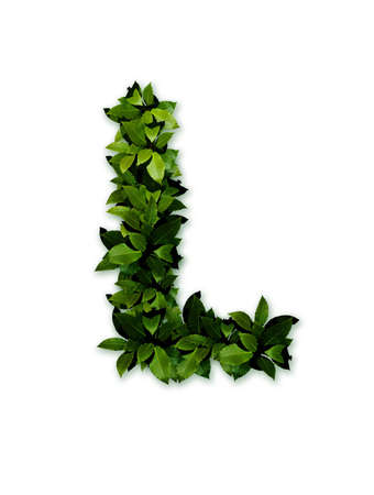 letter leaves lの写真素材