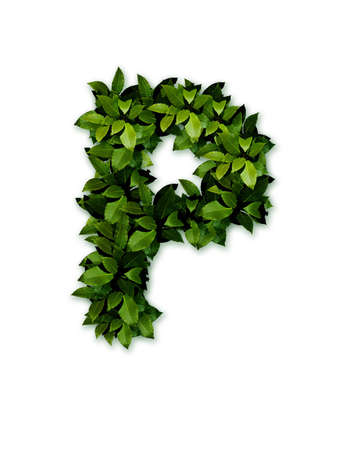 letter leaves pの写真素材