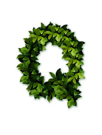 letter leaves qの写真素材