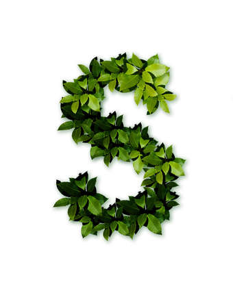 letter leaves sの写真素材