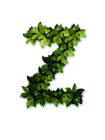 letter leaves zの写真素材