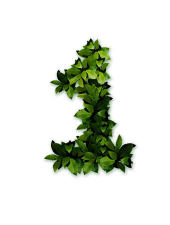 character, numeral 1の写真素材