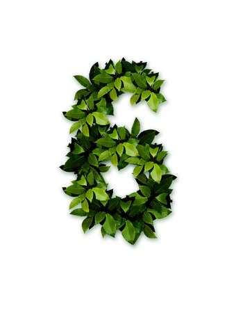 character, numeral 6の写真素材