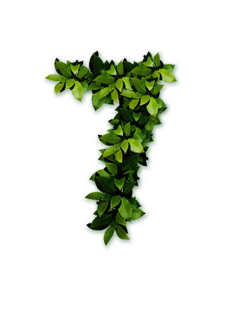 character, numeral 7の写真素材