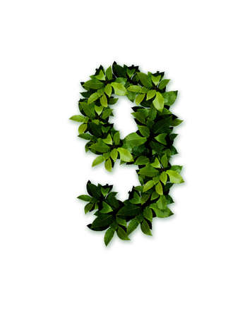 character, numeral 9の写真素材