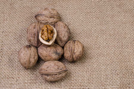 the handful of nuts lies on a sackingの写真素材