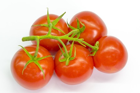 branch of fresh and juicy tomatoes on a white backgroundの写真素材